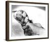 Veronica Lake-null-Framed Photo