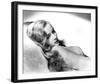 Veronica Lake-null-Framed Photo