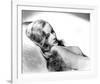 Veronica Lake-null-Framed Photo