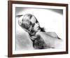 Veronica Lake-null-Framed Photo