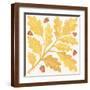 Brown Frame