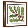 Brown Frame