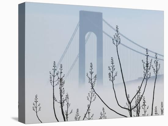 Verrazano-Narrows Bridge in Morning Fog, Staten Island, New York, USA-Walter Bibikow-Stretched Canvas