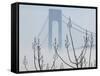 Verrazano-Narrows Bridge in Morning Fog, Staten Island, New York, USA-Walter Bibikow-Framed Stretched Canvas