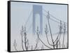 Verrazano-Narrows Bridge in Morning Fog, Staten Island, New York, USA-Walter Bibikow-Framed Stretched Canvas