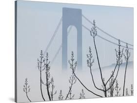 Verrazano-Narrows Bridge in Morning Fog, Staten Island, New York, USA-Walter Bibikow-Stretched Canvas