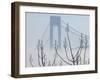 Verrazano-Narrows Bridge in Morning Fog, Staten Island, New York, USA-Walter Bibikow-Framed Premium Photographic Print