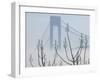 Verrazano-Narrows Bridge in Morning Fog, Staten Island, New York, USA-Walter Bibikow-Framed Premium Photographic Print