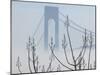 Verrazano-Narrows Bridge in Morning Fog, Staten Island, New York, USA-Walter Bibikow-Mounted Premium Photographic Print