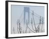 Verrazano-Narrows Bridge in Morning Fog, Staten Island, New York, USA-Walter Bibikow-Framed Photographic Print