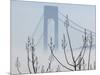 Verrazano-Narrows Bridge in Morning Fog, Staten Island, New York, USA-Walter Bibikow-Mounted Photographic Print
