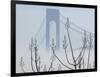 Verrazano-Narrows Bridge in Morning Fog, Staten Island, New York, USA-Walter Bibikow-Framed Photographic Print