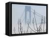 Verrazano-Narrows Bridge in Morning Fog, Staten Island, New York, USA-Walter Bibikow-Framed Stretched Canvas
