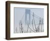 Verrazano-Narrows Bridge in Morning Fog, Staten Island, New York, USA-Walter Bibikow-Framed Photographic Print