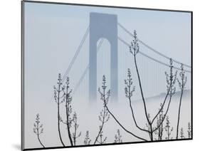 Verrazano-Narrows Bridge in Morning Fog, Staten Island, New York, USA-Walter Bibikow-Mounted Photographic Print