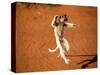 Verreaux's Sifaka, Berenty, Madagascar-Pete Oxford-Stretched Canvas