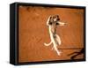 Verreaux's Sifaka, Berenty, Madagascar-Pete Oxford-Framed Stretched Canvas