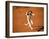 Verreaux's Sifaka, Berenty, Madagascar-Pete Oxford-Framed Premium Photographic Print