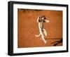 Verreaux's Sifaka, Berenty, Madagascar-Pete Oxford-Framed Premium Photographic Print