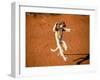 Verreaux's Sifaka, Berenty, Madagascar-Pete Oxford-Framed Premium Photographic Print