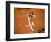 Verreaux's Sifaka, Berenty, Madagascar-Pete Oxford-Framed Photographic Print