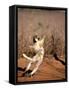 Verreaux's Sifaka, Berenty, Madagascar-Pete Oxford-Framed Stretched Canvas