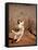 Verreaux's Sifaka, Berenty, Madagascar-Pete Oxford-Framed Stretched Canvas