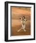 Verreaux's Sifaka 'Dancing', Berenty Private Reserve, South Madagascar-Inaki Relanzon-Framed Photographic Print