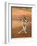 Verreaux's Sifaka 'Dancing', Berenty Private Reserve, South Madagascar-Inaki Relanzon-Framed Photographic Print