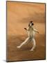 Verreaux's Sifaka 'Dancing', Berenty Private Reserve, South Madagascar-Inaki Relanzon-Mounted Photographic Print