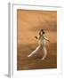 Verreaux's Sifaka 'Dancing', Berenty Private Reserve, South Madagascar-Inaki Relanzon-Framed Photographic Print