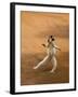 Verreaux's Sifaka 'Dancing', Berenty Private Reserve, South Madagascar-Inaki Relanzon-Framed Photographic Print