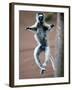 Verreaux's Sifaka Dancing in a Field, Berenty, Madagascar-null-Framed Photographic Print