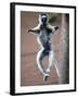 Verreaux's Sifaka Dancing in a Field, Berenty, Madagascar-null-Framed Photographic Print