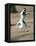 Verreaux's Sifaka Dancing in a Field, Berenty, Madagascar-null-Framed Stretched Canvas