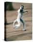 Verreaux's Sifaka Dancing in a Field, Berenty, Madagascar-null-Stretched Canvas