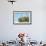 Verreaux's Sifaka (Propithecus Verreauxi) Jumping-G &-Framed Photographic Print displayed on a wall