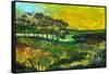 Vers L'Etang de Miragoane, 2010-Patricia Brintle-Framed Stretched Canvas