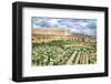 Versailles Garden Paris France-null-Framed Art Print