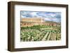 Versailles Garden Paris France-null-Framed Art Print