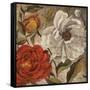 Versailles II-Elizabeth Medley-Framed Stretched Canvas