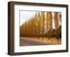 Versailles in Fall I-Emily Navas-Framed Art Print