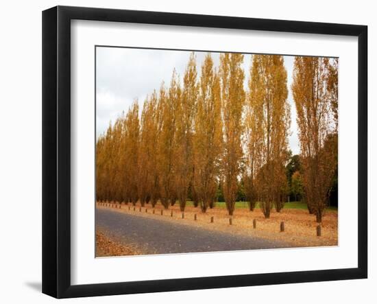 Versailles in Fall I-Emily Navas-Framed Art Print