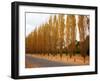 Versailles in Fall I-Emily Navas-Framed Art Print