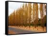 Versailles in Fall I-Emily Navas-Framed Stretched Canvas