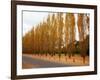 Versailles in Fall I-Emily Navas-Framed Art Print