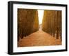 Versailles in Fall II-Emily Navas-Framed Photographic Print