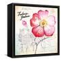 Versailles Peony-Angela Staehling-Framed Stretched Canvas