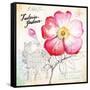 Versailles Peony-Angela Staehling-Framed Stretched Canvas