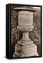 Versailles Urn II-Le Deley-Framed Stretched Canvas